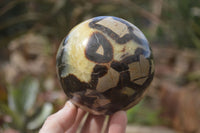 Polished Septaria (Calcite & Aragonite) Spheres  x 4 From Madagascar