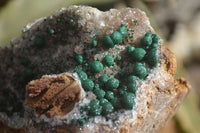 Natural Rare Ball Malachite On Drusi Quartz & Dolomite Matrix (A Grade) x 2 From Kambove, Namibia - Toprock Gemstones and Minerals 