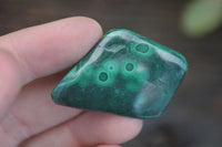 Polished Small Malachite Tumble Stones  x 38 From Congo - Toprock Gemstones and Minerals 