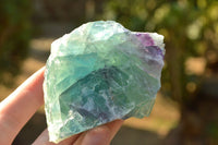 Natural Cobbed & Stone Sealed Watermelon Fluorite Pieces x 12 From Uis, Namibia - TopRock