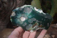 Polished One Side Polished Emerald Mtorolite Plates  x 6 From Zimbabwe