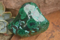 Polished Malachite Free Forms With Stunning Flower & Banding Patterns x 6 From Congo - TopRock