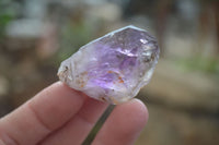 Natural Royal Zulu Window Amethyst Crystals x 20 From, South Africa