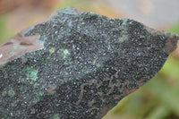 Natural Rare Copper Phosphate Libethenite Crystals On Dolomite Matrix Specimens x 2 From Congo