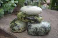 Polished Leopard Stone Gallets  x 6 From Zimbabwe - Toprock Gemstones and Minerals 