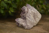 Natural Sugar Amethyst Clusters  x 6 From Solwezi, Zambia