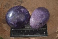 Polished Purple Lepidolite Palm Stones  x 12 From Zimbabwe