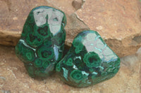 Polished Malachite Free Forms With Stunning Flower & Banding Patterns x 6 From Congo - TopRock