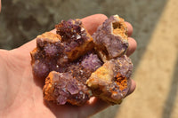 Natural Small Dark "Amethystos" Amethyst Clusters x 35 From Kwaggafontein, South Africa - TopRock