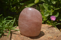 Polished Pink Rose Quartz Standing Free Forms x 2 From Ambatondrazaka, Madagascar - TopRock