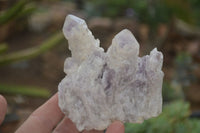 Natural Sugar Amethyst Clusters  x 6 From Solwezi, Zambia