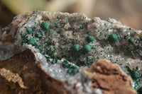 Natural Rare Ball Malachite On Drusi Quartz & Dolomite Matrix (A Grade) x 2 From Kambove, Namibia - Toprock Gemstones and Minerals 