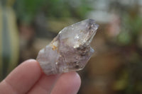 Natural Royal Zulu Window Amethyst Crystals x 20 From, South Africa