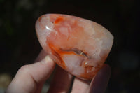 Polished Carnelian Agate Standing Free Forms  x 6 From Madagascar - Toprock Gemstones and Minerals 