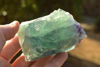 Natural Cobbed & Stone Sealed Watermelon Fluorite Pieces x 12 From Uis, Namibia - TopRock