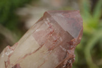 Natural Red Hematoid Quartz Specimens x 3 From Karoi, Zimbabwe - TopRock