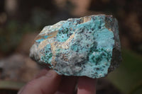 Natural Drusy Coated Chrysocolla Dolomite Specimens x 6 From Likasi, Congo