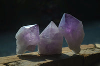 Natural Single Jacaranda Amethyst Crystals  x 6 From Mumbwa, Zambia - Toprock Gemstones and Minerals 