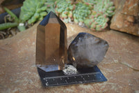 Polished Lovely Smokey Quartz Points  x 6 From Madagascar