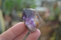 Natural Royal Zulu Window Amethyst Crystals x 20 From, South Africa