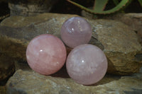 Polished Rare Star Rose Quartz Spheres x 3 From Ambatondrazaka, Madagascar