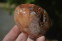 Polished Carnelian Agate Standing Free Forms  x 6 From Madagascar - Toprock Gemstones and Minerals 