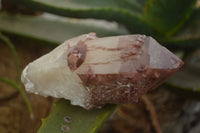 Natural Red Hematoid Quartz Specimens x 3 From Karoi, Zimbabwe - TopRock