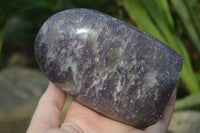 Polished Flash Labradorite & Purple Lepidolite Standing Free Forms  x 2 From Madagascar - Toprock Gemstones and Minerals 