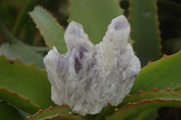 Natural Sugar Amethyst Clusters  x 6 From Solwezi, Zambia