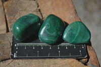 Polished Small Malachite Tumble Stones  x 38 From Congo - Toprock Gemstones and Minerals 