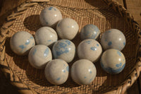 Polished Blue Spotted Spinel Quartz Spheres x 12 From Madagascar