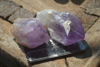 Natural Single Jacaranda Amethyst Crystals  x 6 From Mumbwa, Zambia - Toprock Gemstones and Minerals 