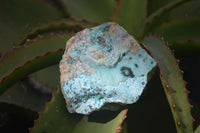 Natural Drusy Coated Chrysocolla Dolomite Specimens x 6 From Likasi, Congo