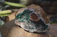 Natural Rare Ball Malachite On Drusi Quartz & Dolomite Matrix (A Grade) x 2 From Kambove, Namibia - Toprock Gemstones and Minerals 