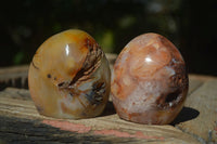 Polished Carnelian Agate Standing Free Forms  x 6 From Madagascar - Toprock Gemstones and Minerals 