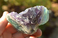 Natural Cobbed & Stone Sealed Watermelon Fluorite Pieces x 12 From Uis, Namibia - TopRock