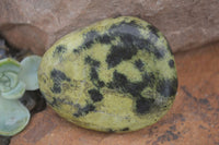 Polished Leopard Stone Gallets  x 6 From Zimbabwe - Toprock Gemstones and Minerals 