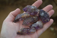 Natural Royal Zulu Window Amethyst Crystals x 20 From, South Africa