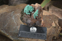 Natural Rare Ball Malachite On Drusy Quartz & Dolomite Matrix  x 2 From Kambove, Congo - Toprock Gemstones and Minerals 