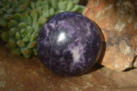 Polished Purple Lepidolite Palm Stones  x 12 From Zimbabwe