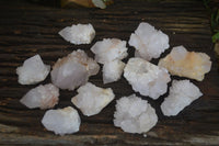 Natural White Cactus Flower Spirit Quartz Specimens  x 12 From Boekenhouthoek, South Africa - Toprock Gemstones and Minerals 