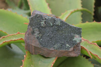 Natural Rare Copper Phosphate Libethenite Crystals On Dolomite Matrix Specimens x 2 From Congo