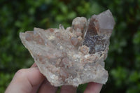 Natural Red Hematoid Quartz Clusters x 4 From Karoi, Zimbabwe