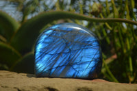 Polished Flash Labradorite & Purple Lepidolite Standing Free Forms  x 2 From Madagascar - Toprock Gemstones and Minerals 