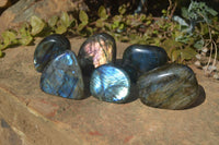 Polished Labradorite Standing Free Forms  x 6 From Tulear, Madagascar