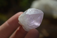 Natural Jacaranda Amethyst Crystals x 70 From Zambia