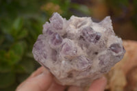 Natural Sugar Amethyst Clusters  x 6 From Solwezi, Zambia