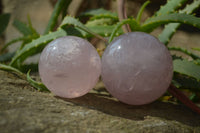 Polished Rare Star Rose Quartz Spheres x 3 From Ambatondrazaka, Madagascar