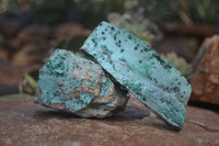 Natural Drusy Coated Chrysocolla Dolomite Specimens x 6 From Likasi, Congo