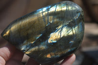 Polished Flashy Labradorite Standing Free Forms  x 2 From Tulear, Madagascar - Toprock Gemstones and Minerals 